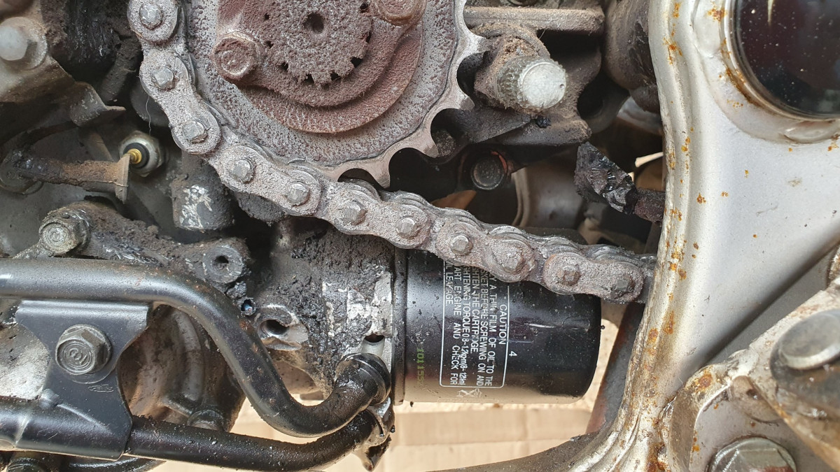 20230307_152449 (p).jpg