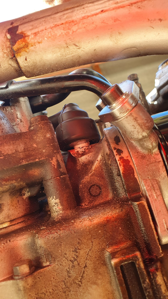 20230316_154359 (p).jpg