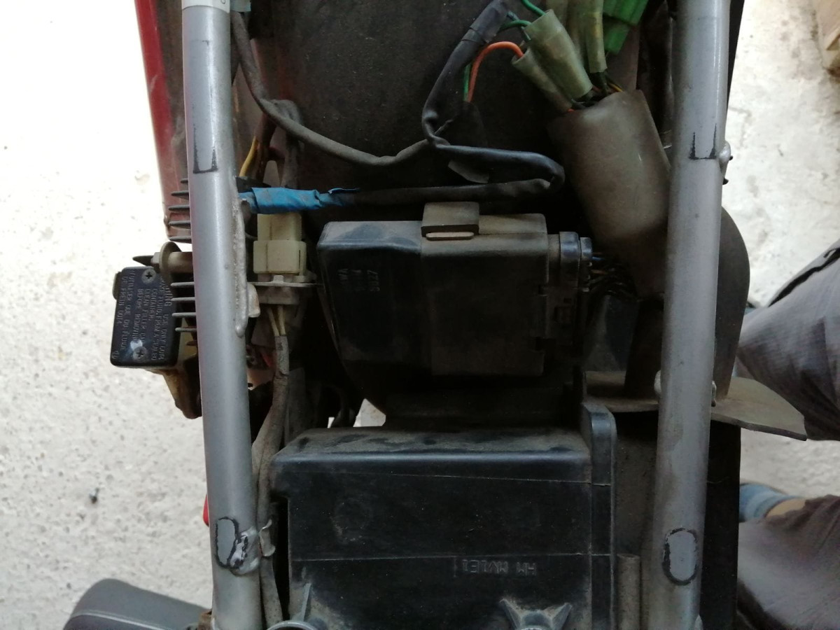 WhatsApp Image 2023-05-31 at 16.22.32.jpeg