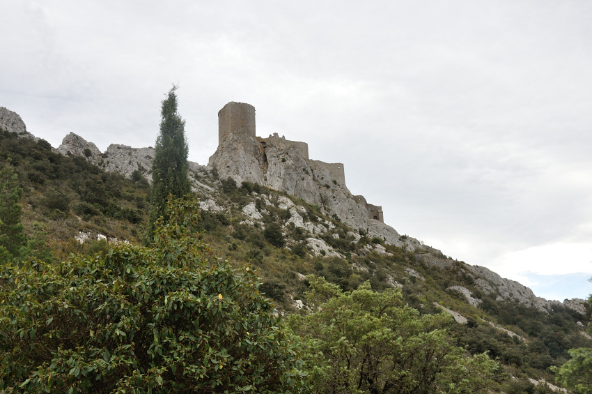 DSC_0001.JPG