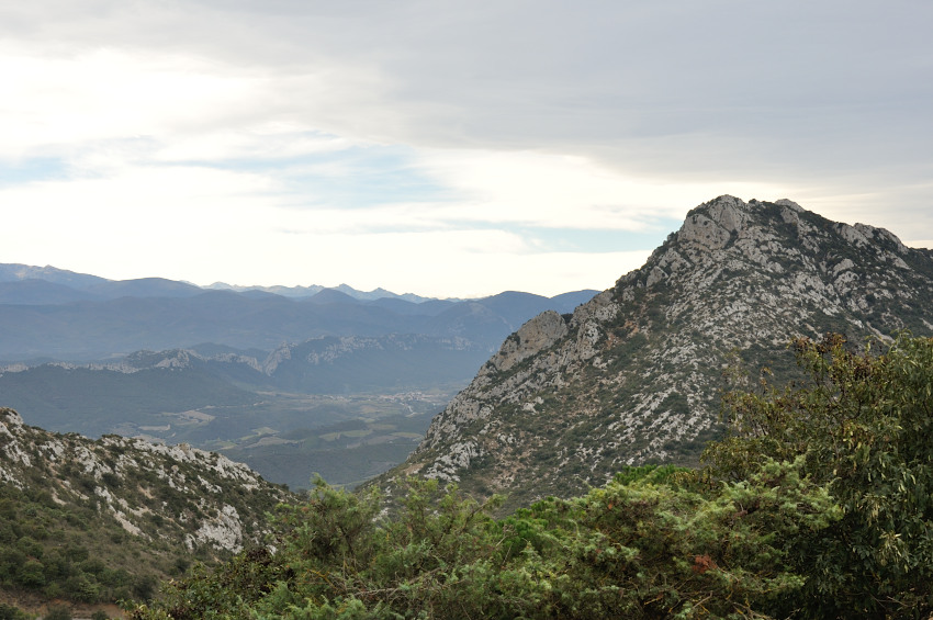 DSC_0003.JPG