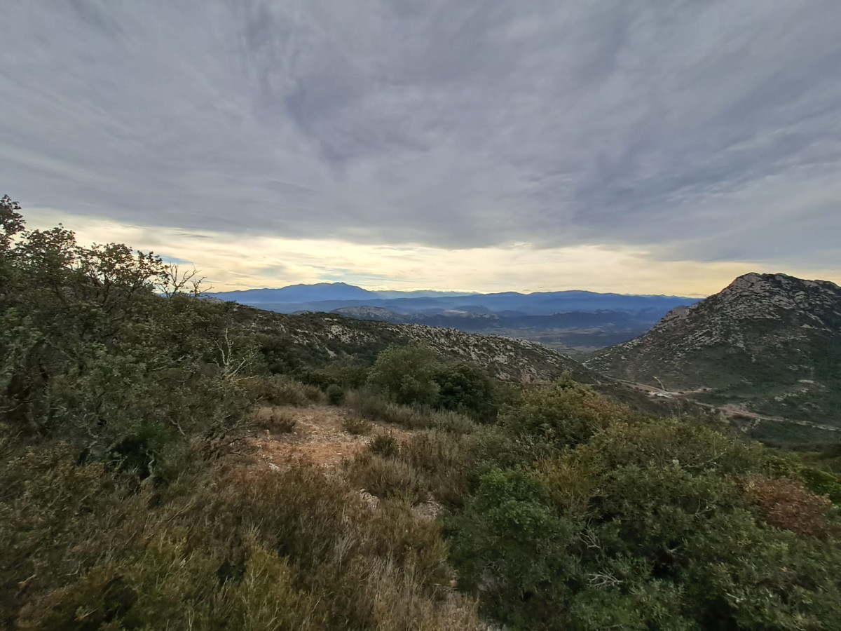 10-PHOTO-2023-10-30-21-12-24-1.jpg