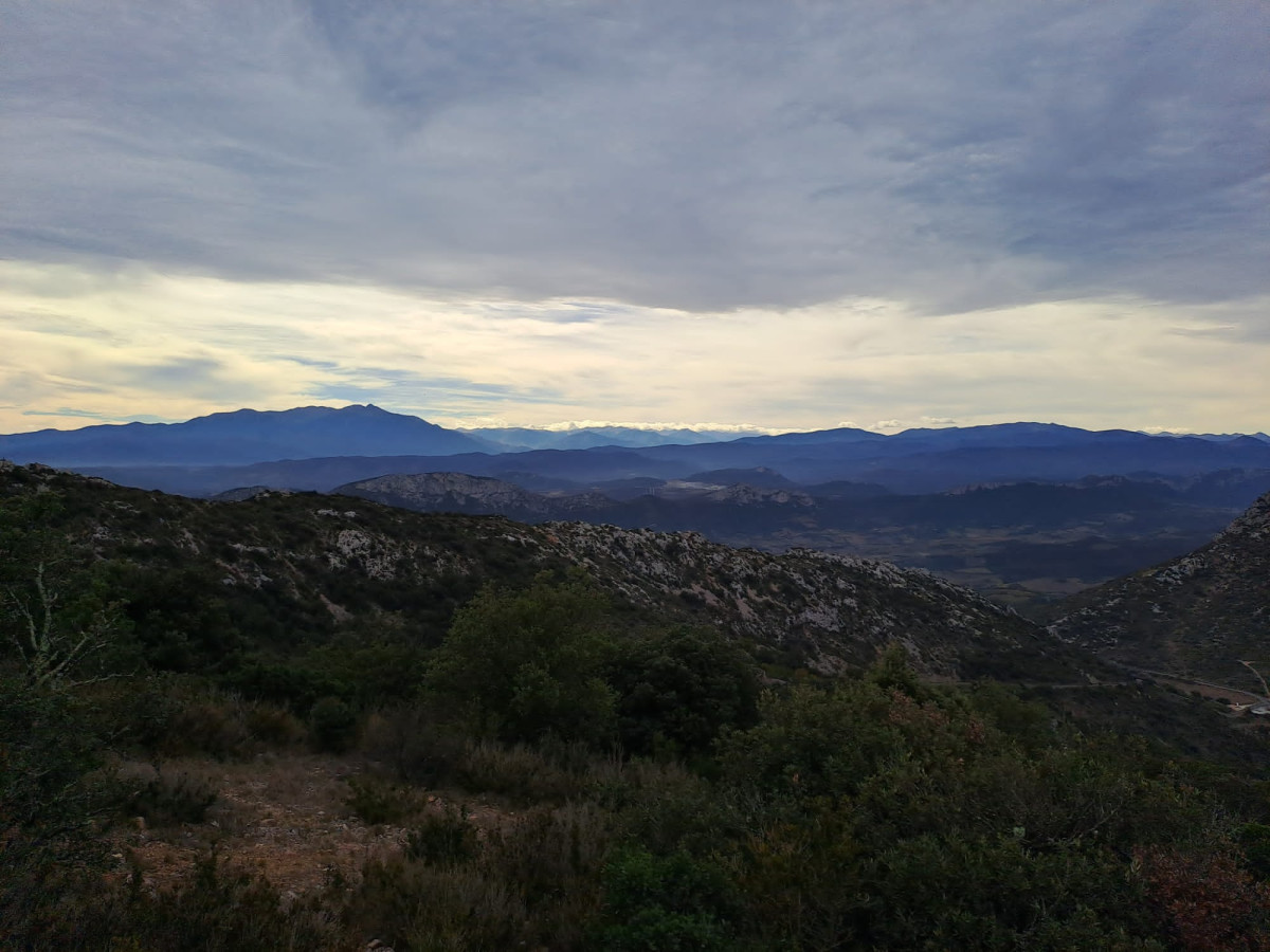 14-PHOTO-2023-10-30-21-12-24-4.jpg