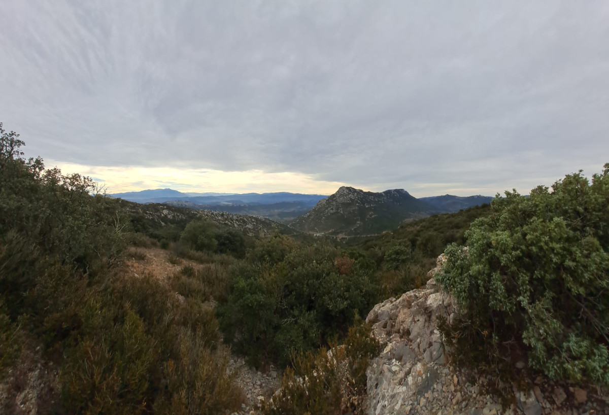 15-PHOTO-2023-10-30-21-12-25-1.jpg