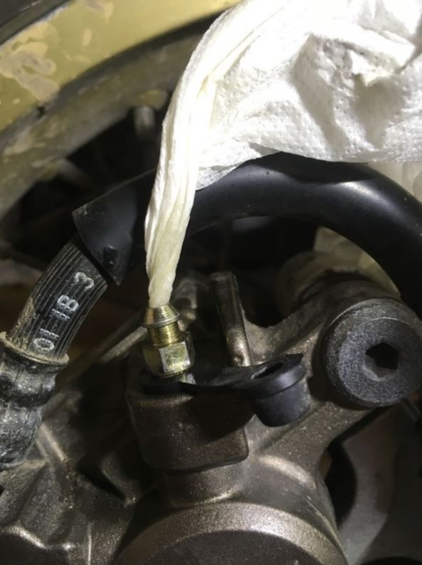 Drain après purge.JPG