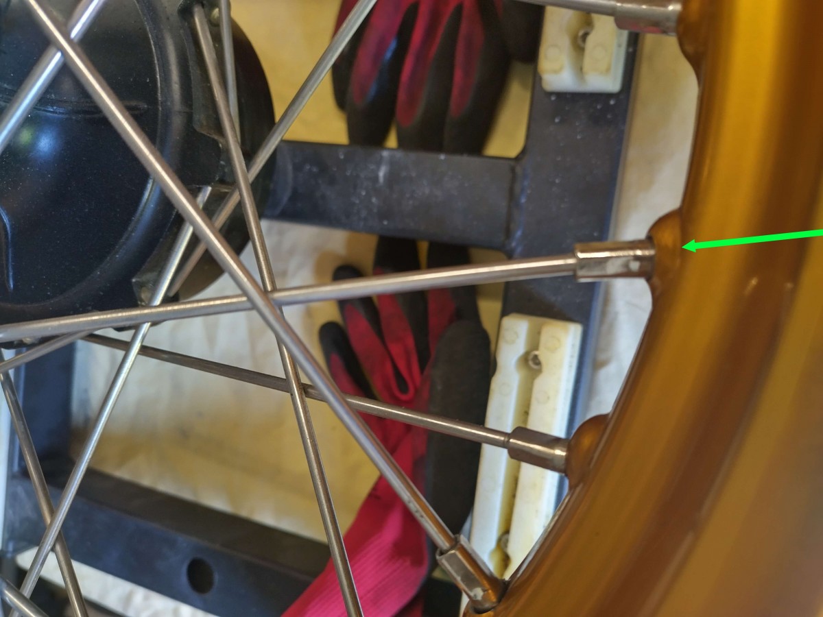 10 vue tête rayon    13 57 03.jpg