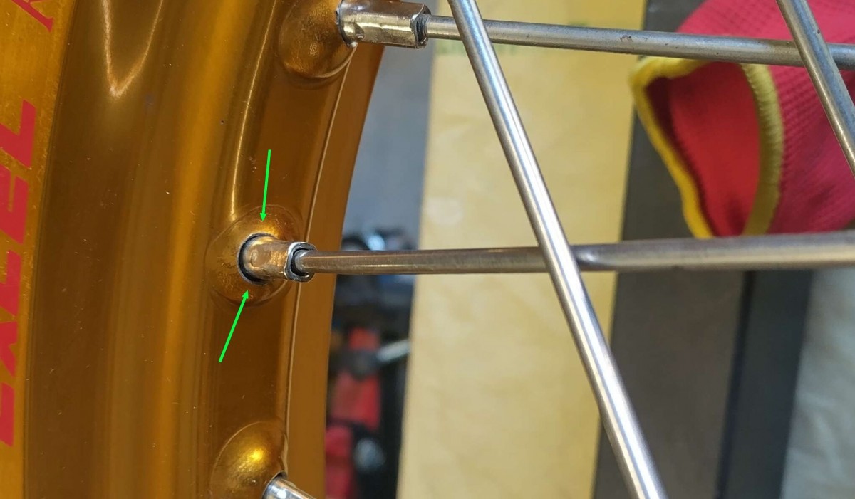 40 vue tête non centrée zoom.jpg