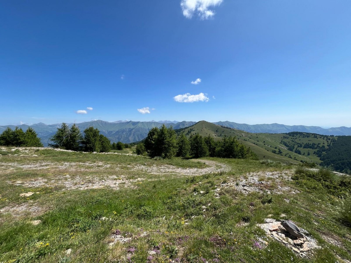 WhatsApp Image 2025-06-18 at 22.12.01.jpeg