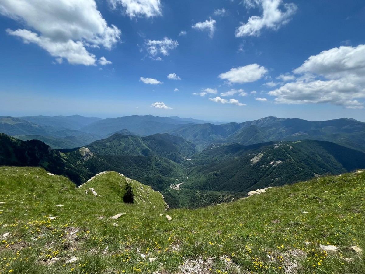 WhatsApp Image 2025-06-18 at 22.14.02.jpeg