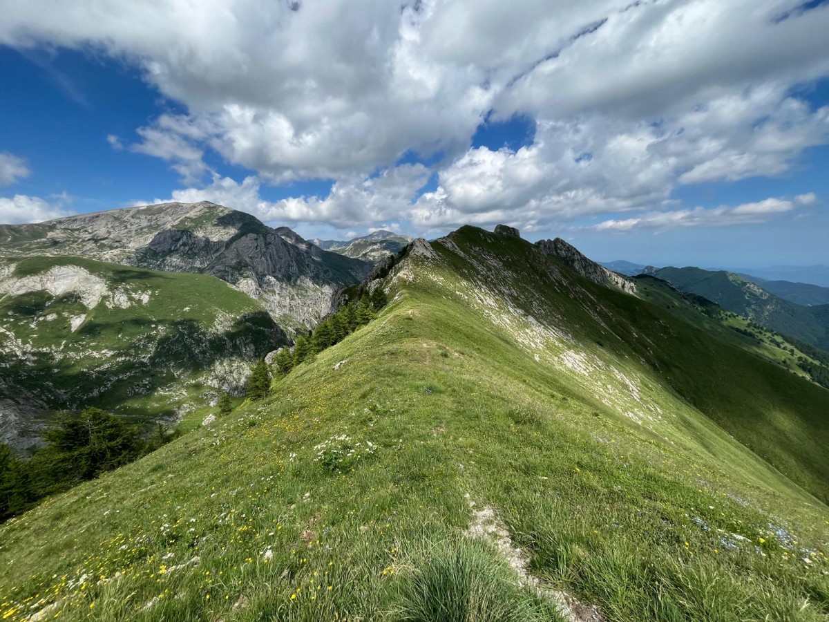 WhatsApp Image 2025-06-18 at 22.20.07 (1).jpeg