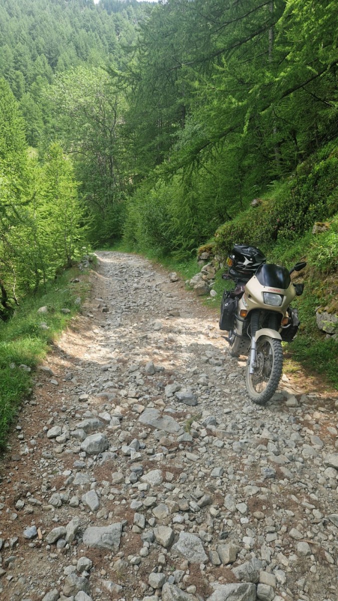 WhatsApp Image 2025-07-07 at 12.22.20 (3).jpeg