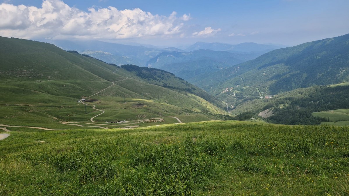 WhatsApp Image 2025-07-07 at 12.22.20 (4).jpeg