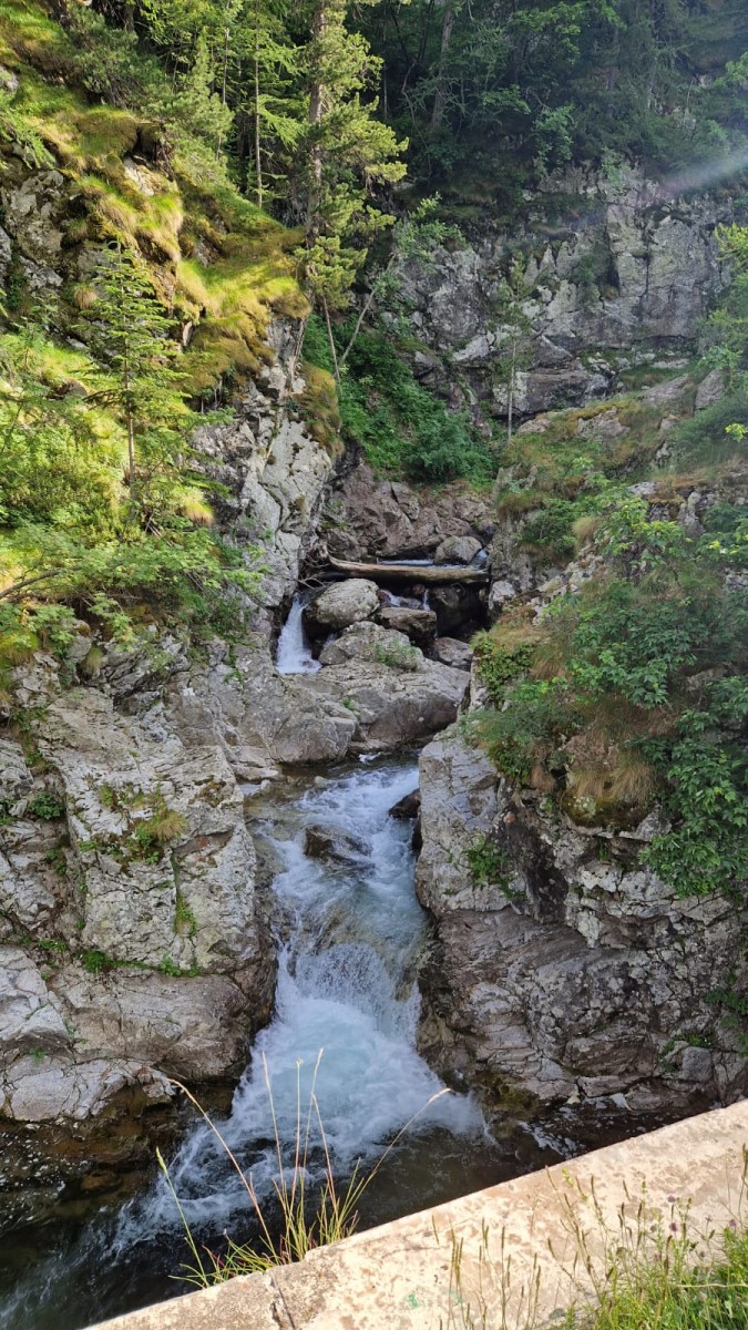 WhatsApp Image 2025-07-07 at 12.22.22 (1).jpeg