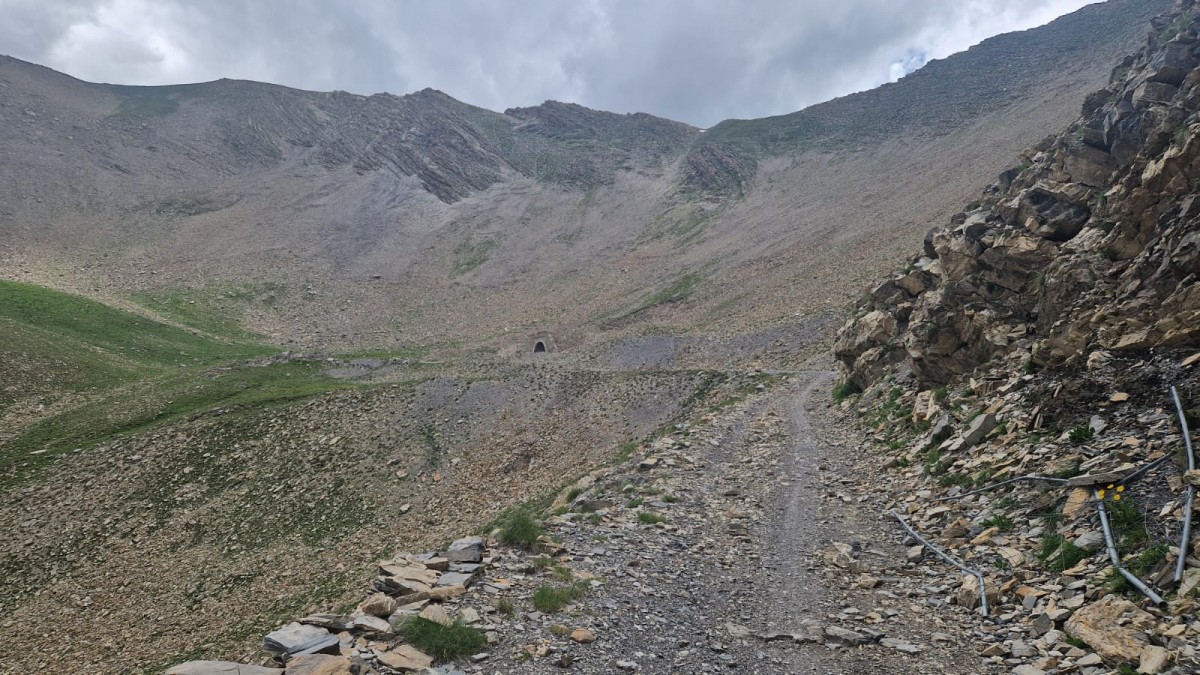 WhatsApp Image 2025-07-07 at 12.20.43.jpeg