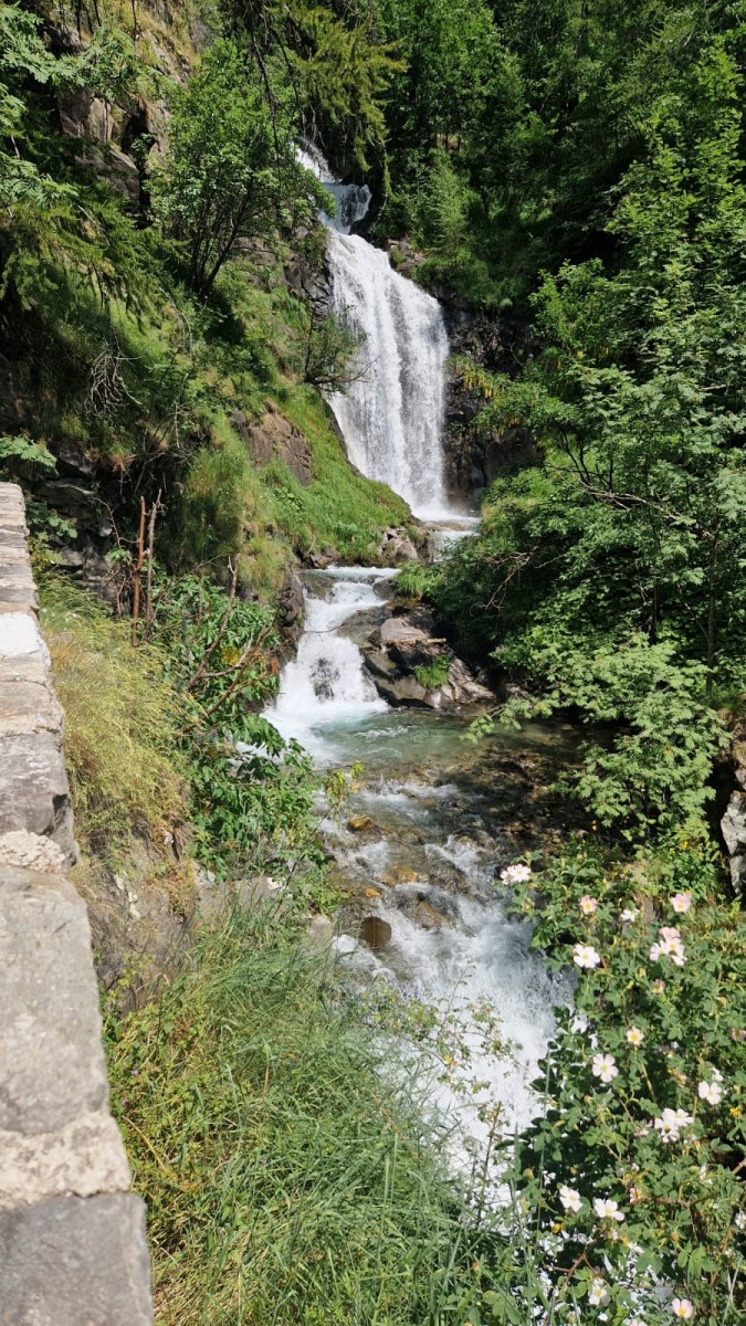 WhatsApp Image 2025-07-07 at 12.20.47.jpeg