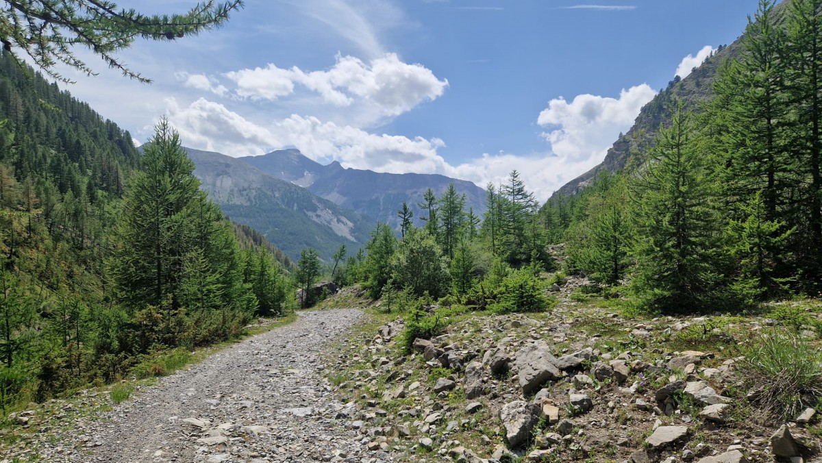 WhatsApp Image 2025-07-07 at 12.21.08.jpeg