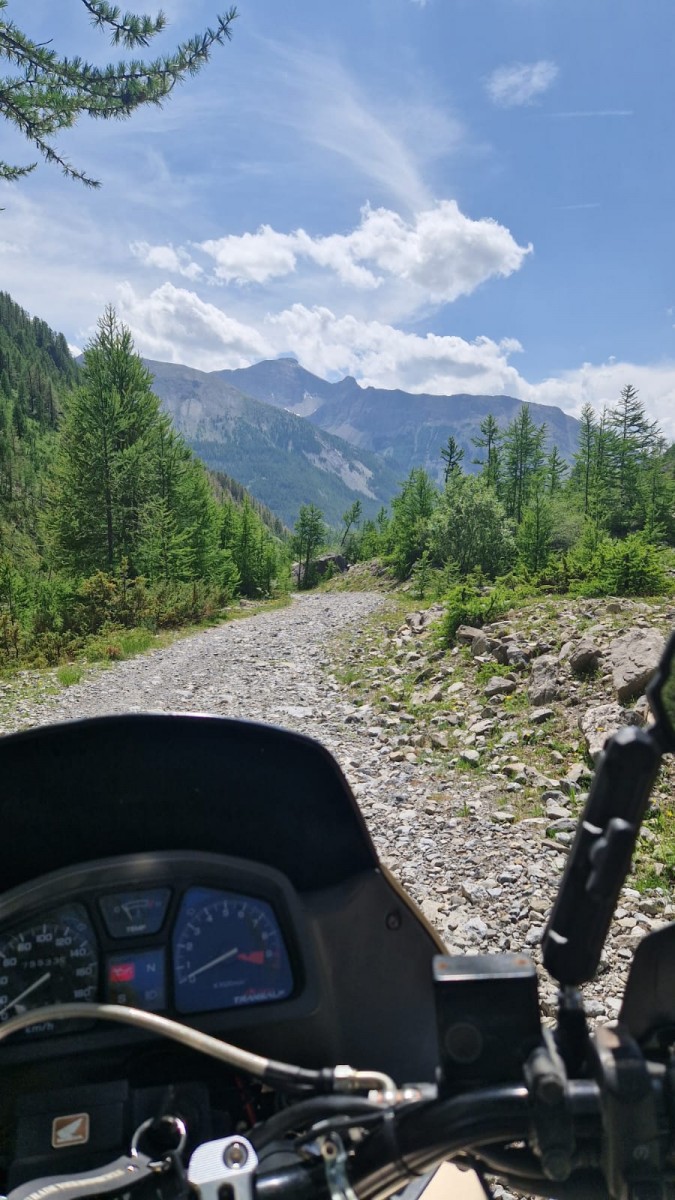 WhatsApp Image 2025-07-07 at 12.21.09.jpeg