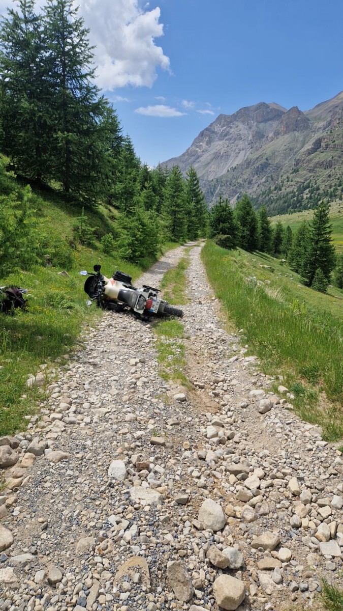 WhatsApp Image 2025-07-07 at 12.21.26.jpeg