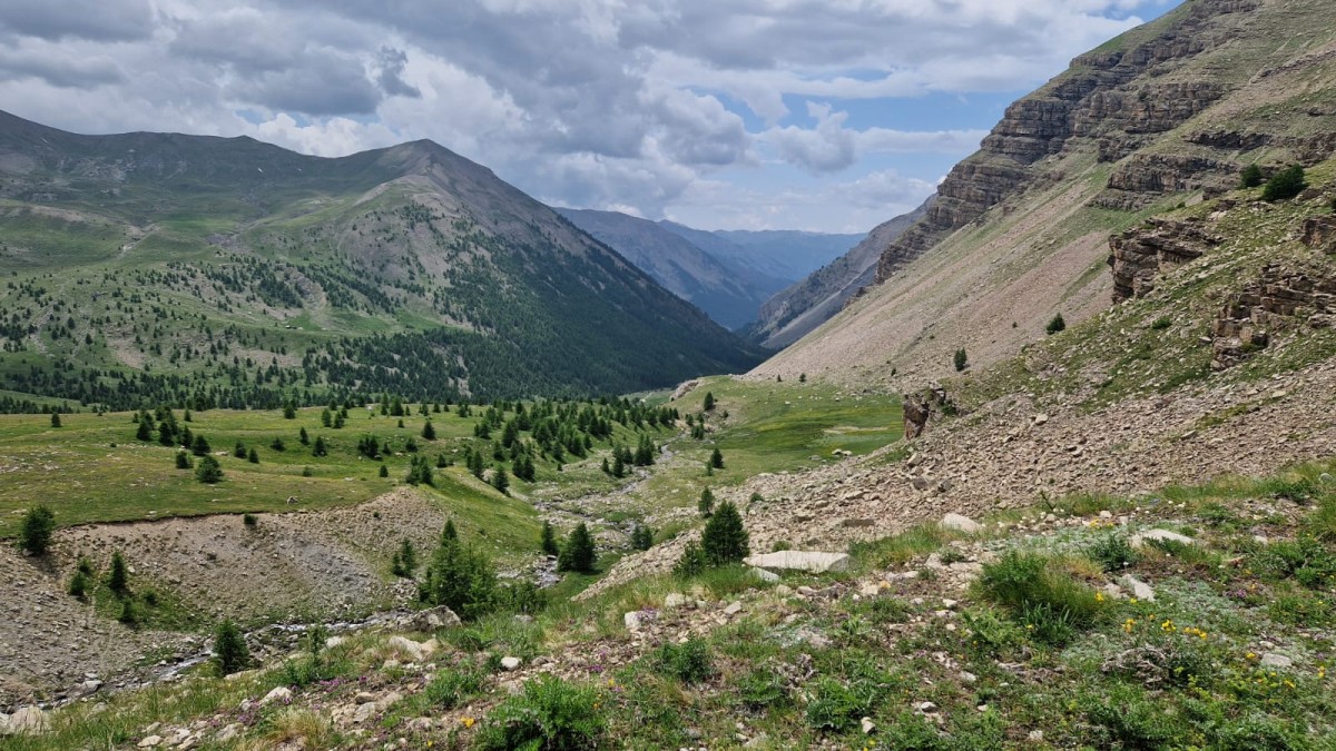 WhatsApp Image 2025-07-07 at 12.21.29.jpeg