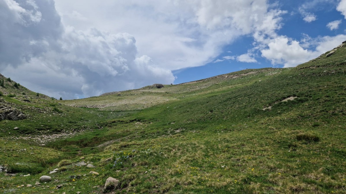 WhatsApp Image 2025-07-07 at 12.21.33.jpeg