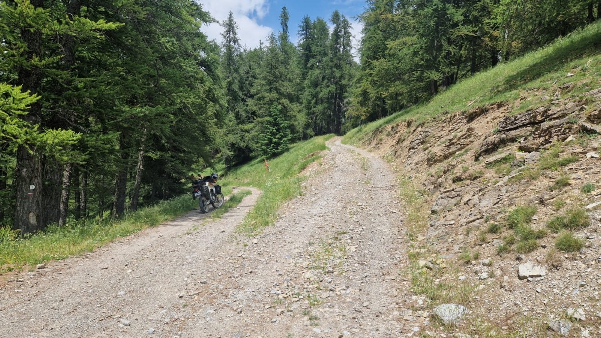 WhatsApp Image 2025-07-07 at 12.21.35.jpeg