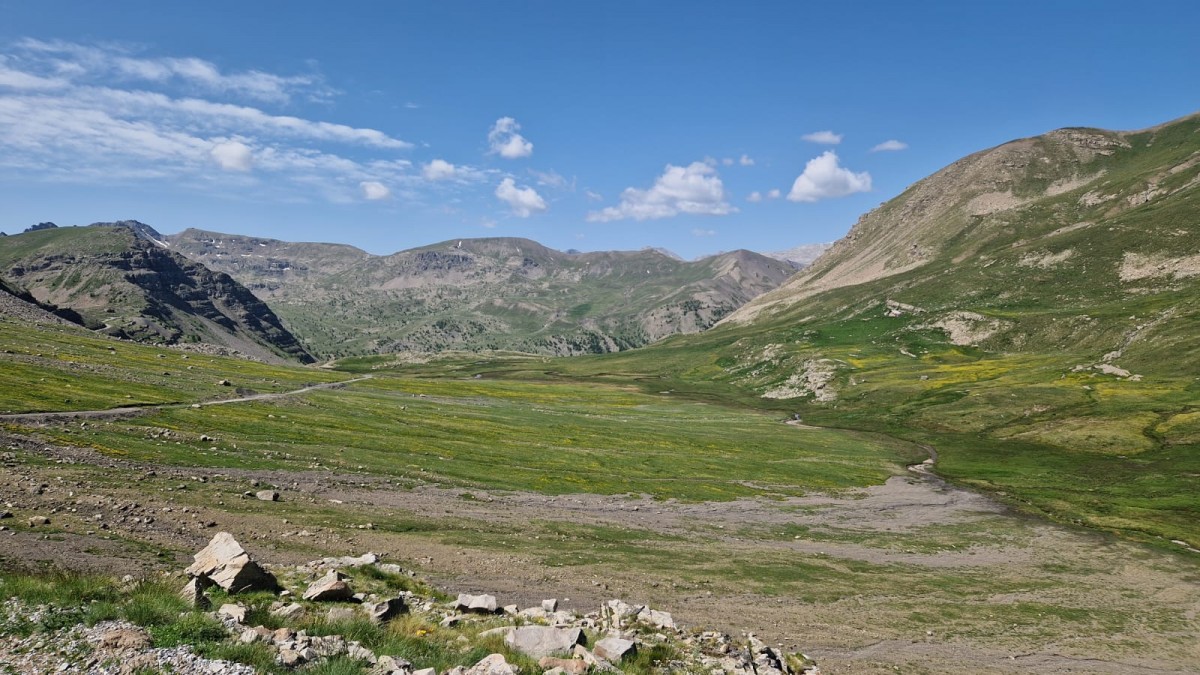 WhatsApp Image 2025-07-07 at 12.22.16.jpeg