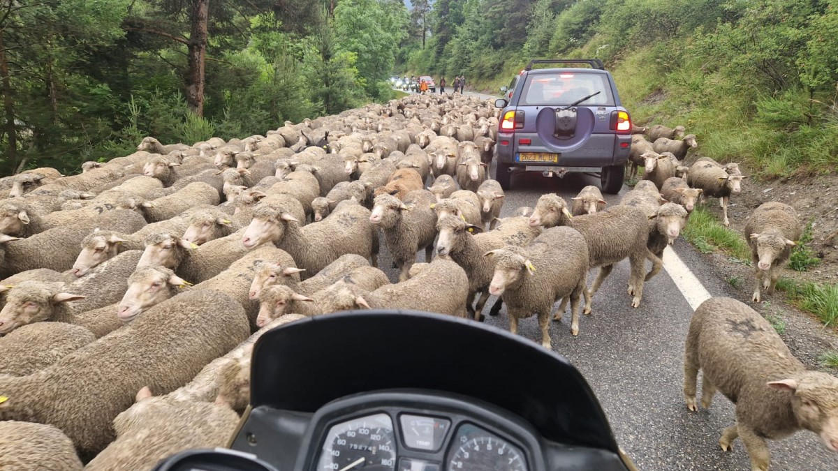 WhatsApp Image 2025-07-07 at 12.22.19.jpeg