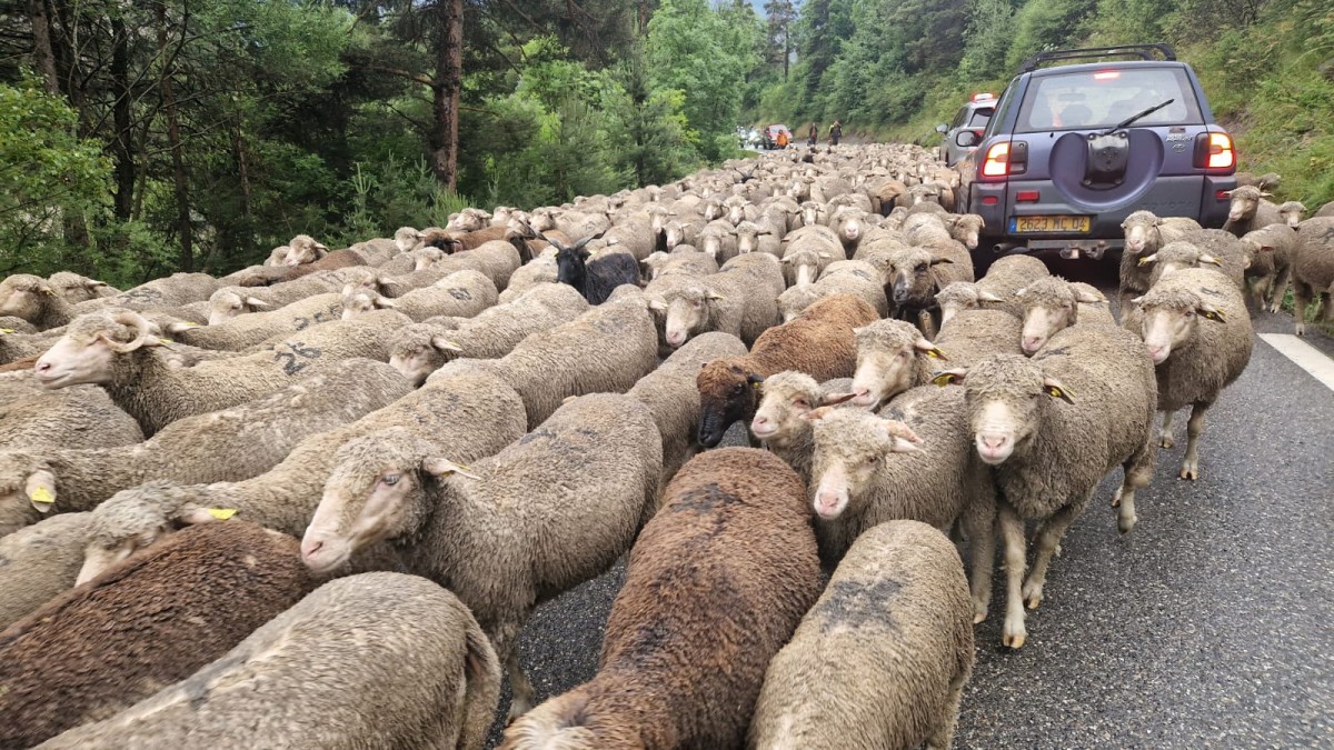 WhatsApp Image 2025-07-07 at 12.22.19 (1).jpeg