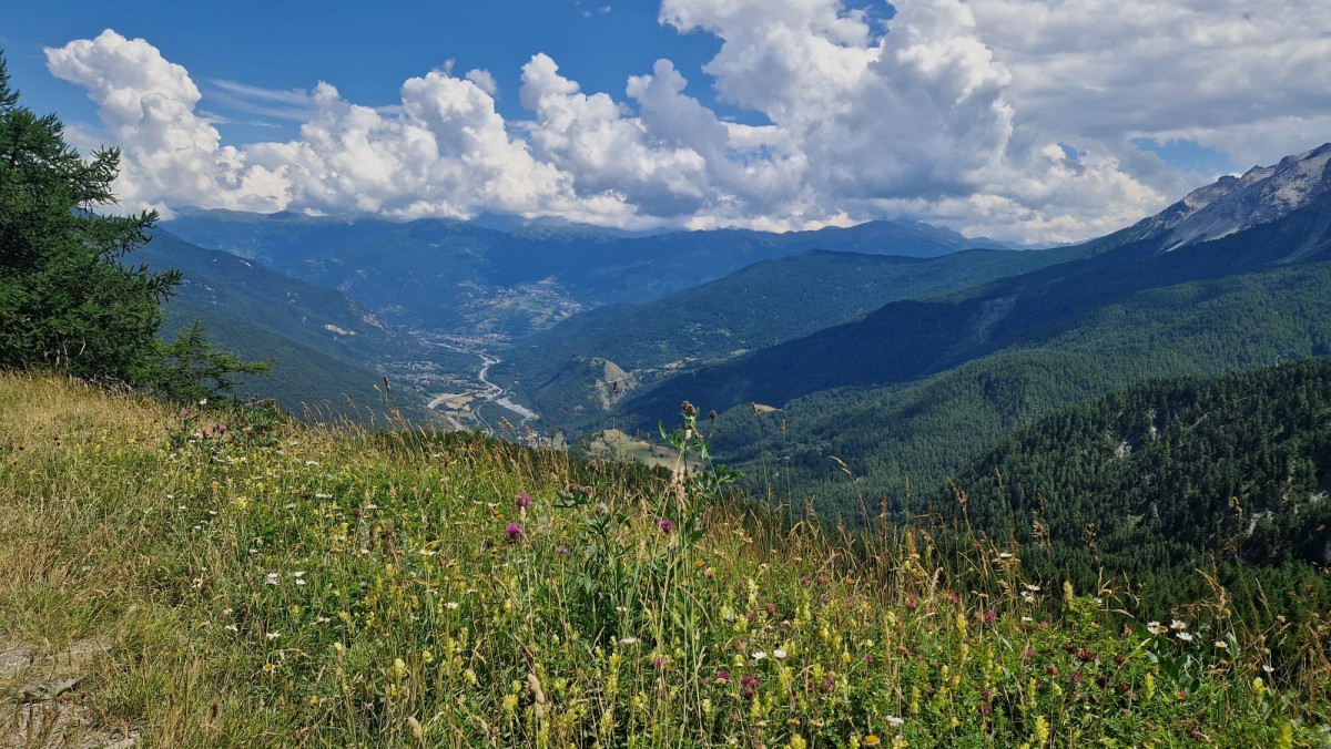 WhatsApp Image 2025-07-07 at 12.17.09.jpeg