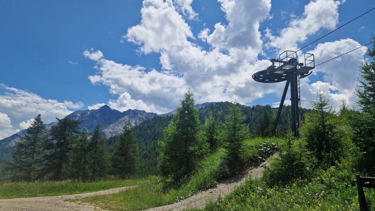 WhatsApp Image 2025-07-07 at 12.17.11.jpeg