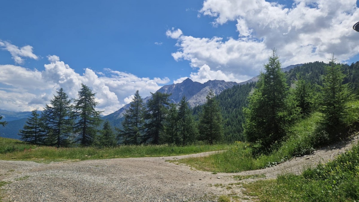 WhatsApp Image 2025-07-07 at 12.17.27.jpeg