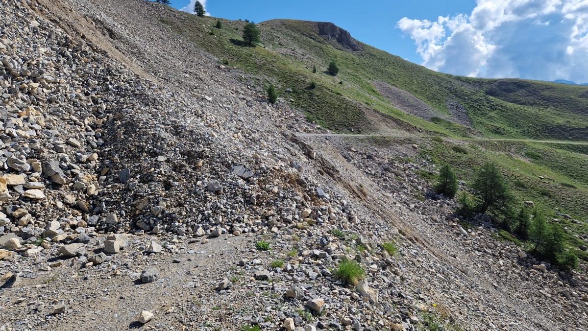 WhatsApp Image 2025-07-07 at 12.19.52.jpeg