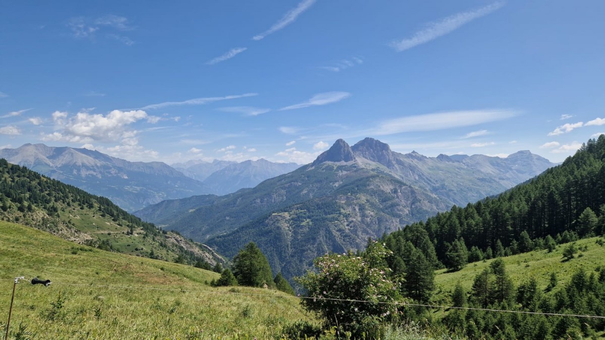 WhatsApp Image 2025-07-07 at 12.10.40.jpeg