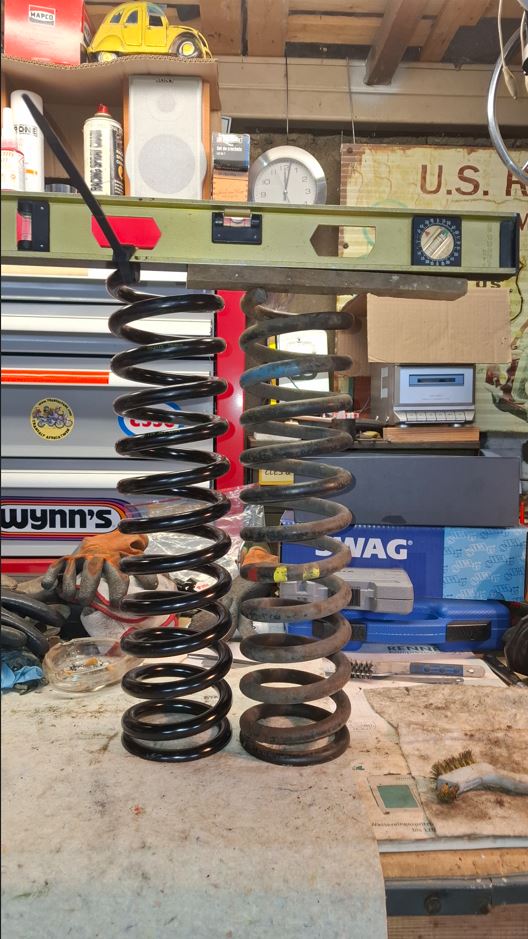 15 Dilemme ressort.JPG