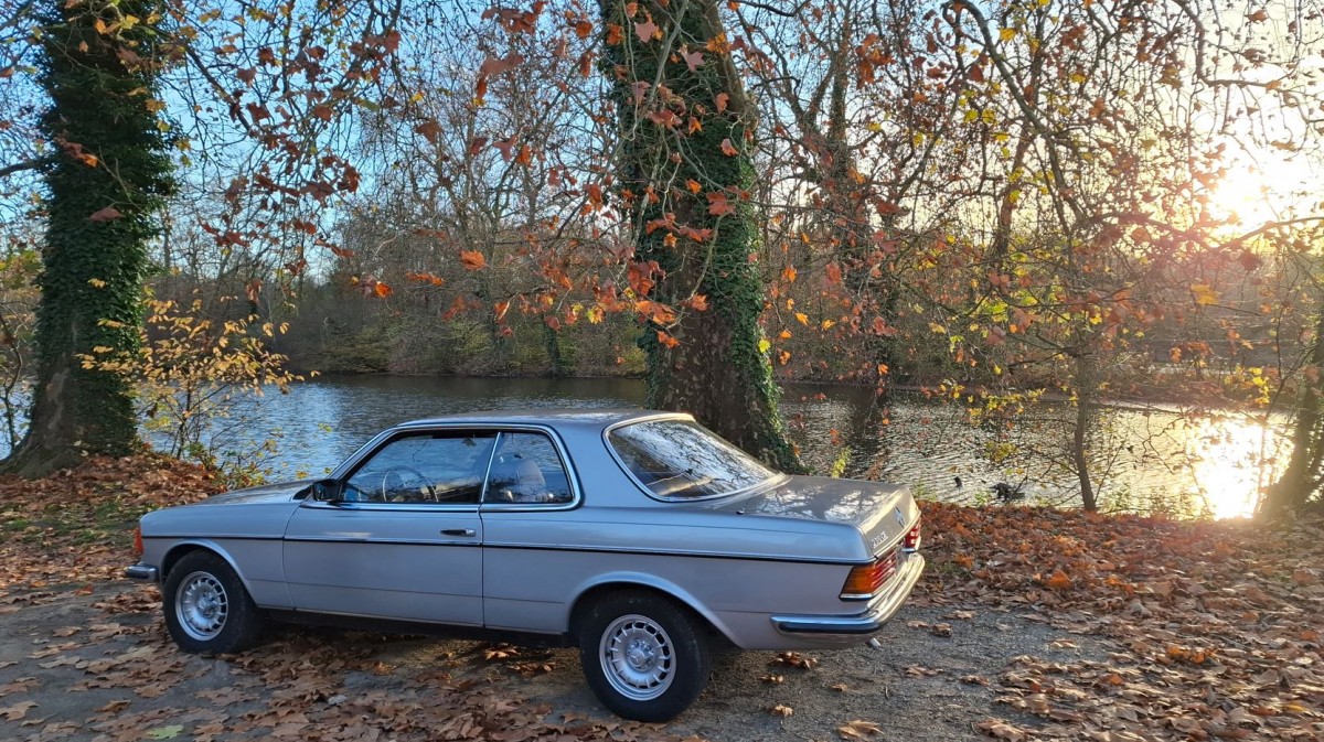 Grisette balade automnale 1.JPG