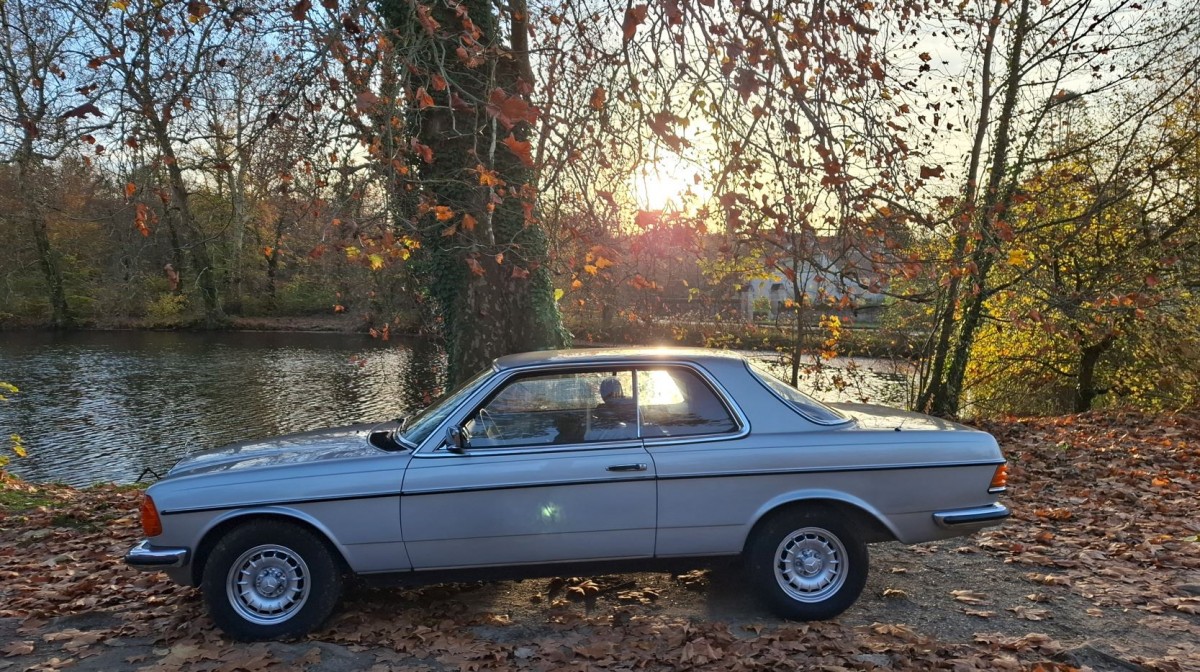 Grisette balade automnale 2.JPG