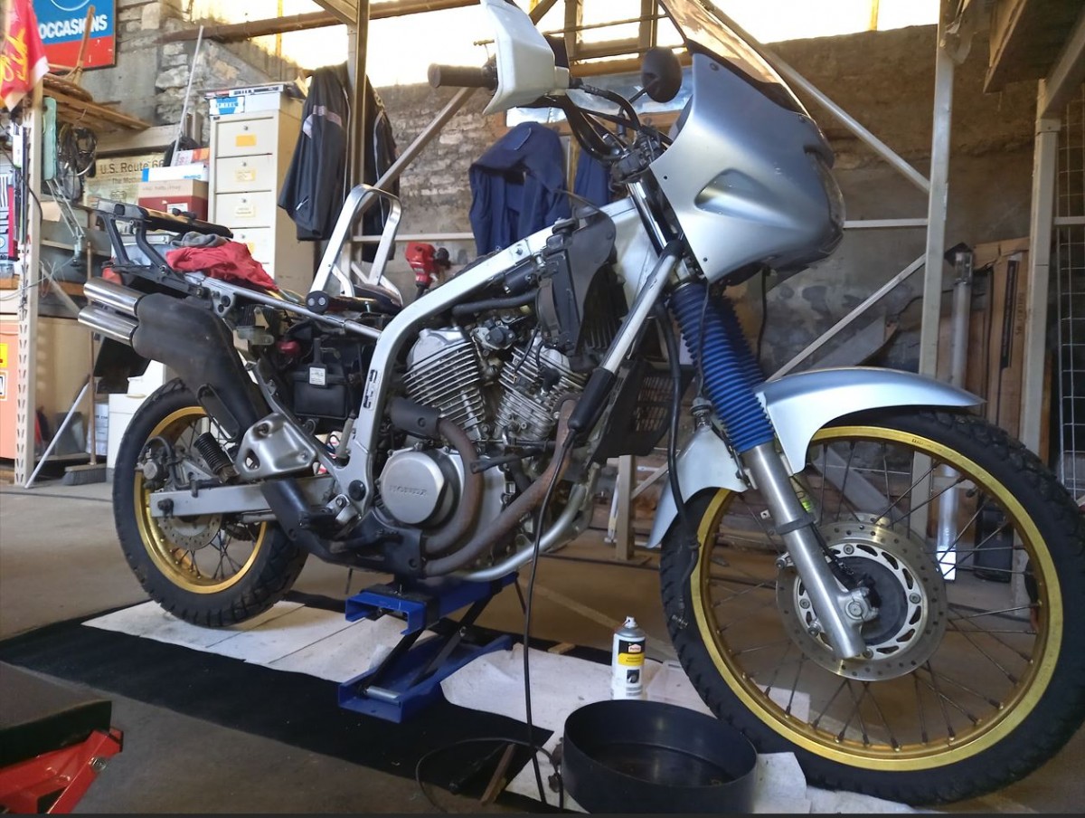 elle attend son tour.JPG