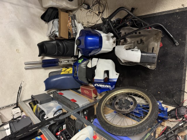 IMG_7146 (Petit).JPG