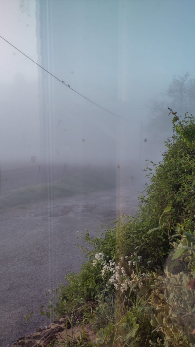 Le brouillard du matin