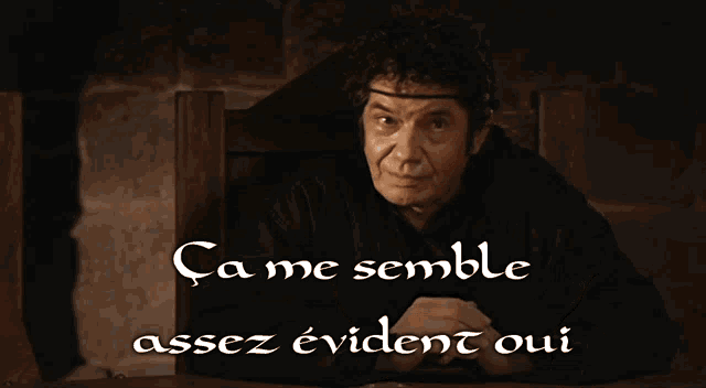 kaamelott-leodagan (1).gif