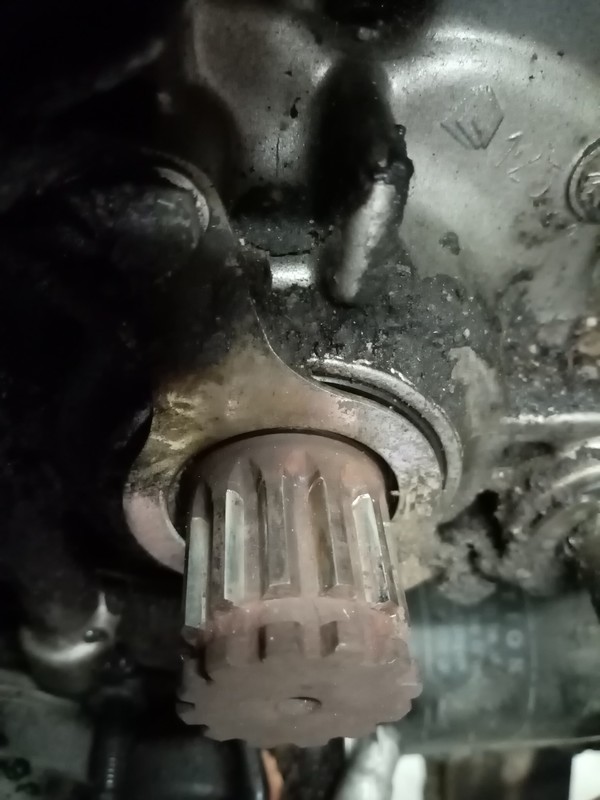 AT 26 02 2021 023.jpg