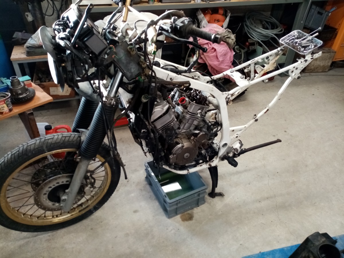 AT 01 03 2021 005.jpg