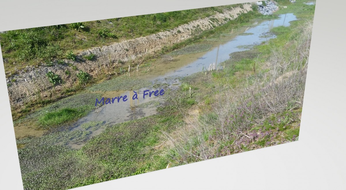 Sans titre.jpg