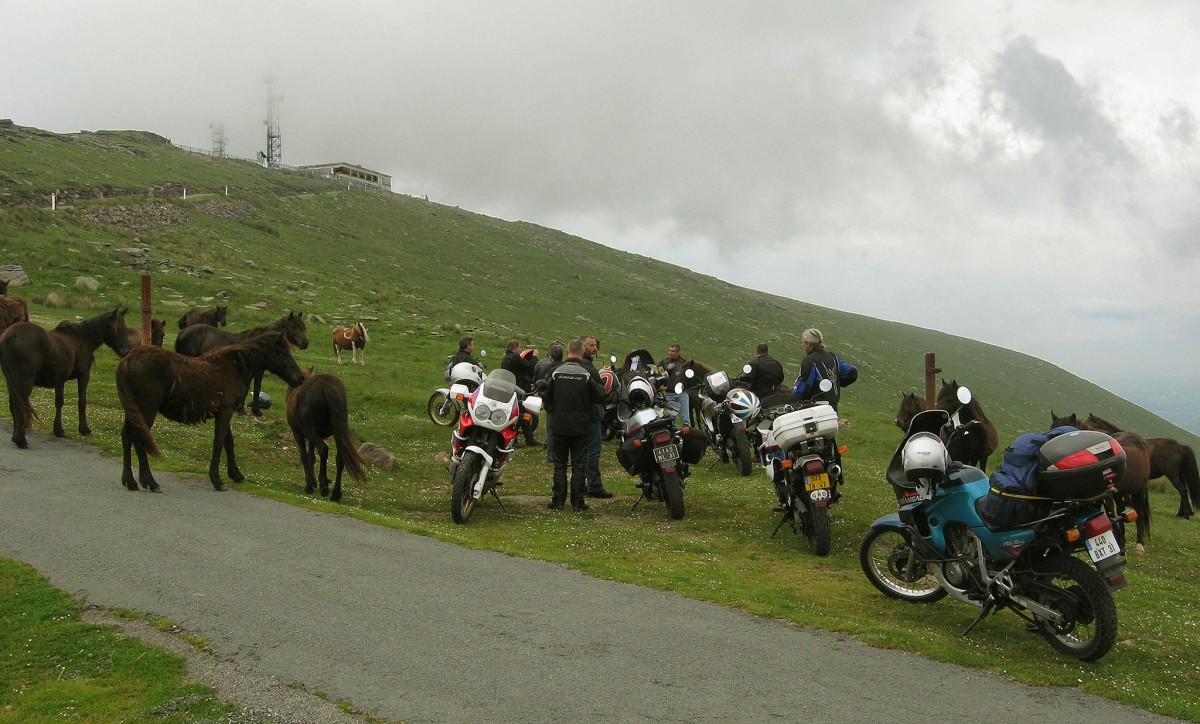En haut de l'Artzamendi - 23/05/2009