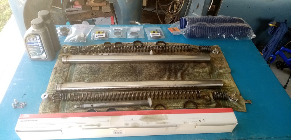 Africa 21 08 21 037.jpg