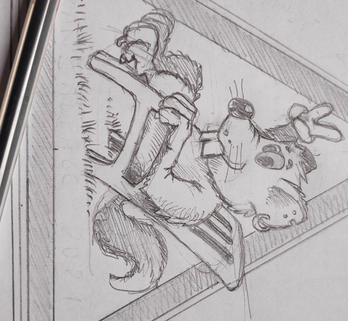 Transalpage 2021 Team du Mulard.jpg