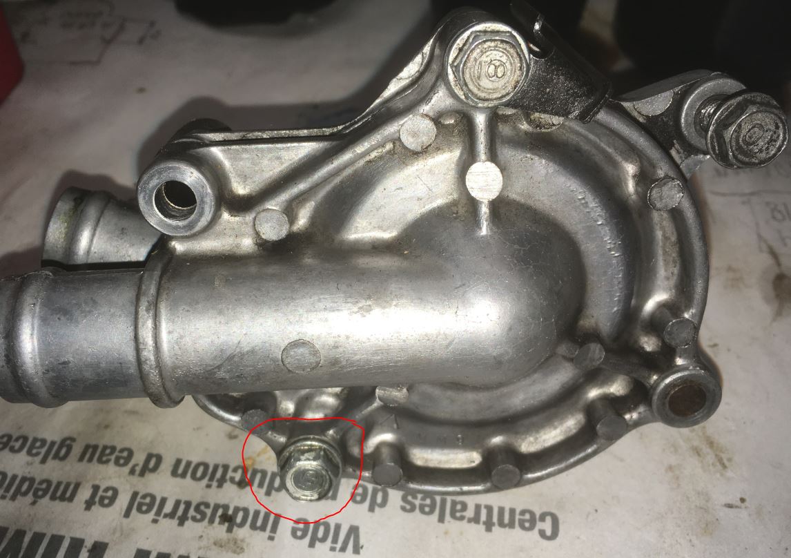 pompe xlv 600 bis.JPG