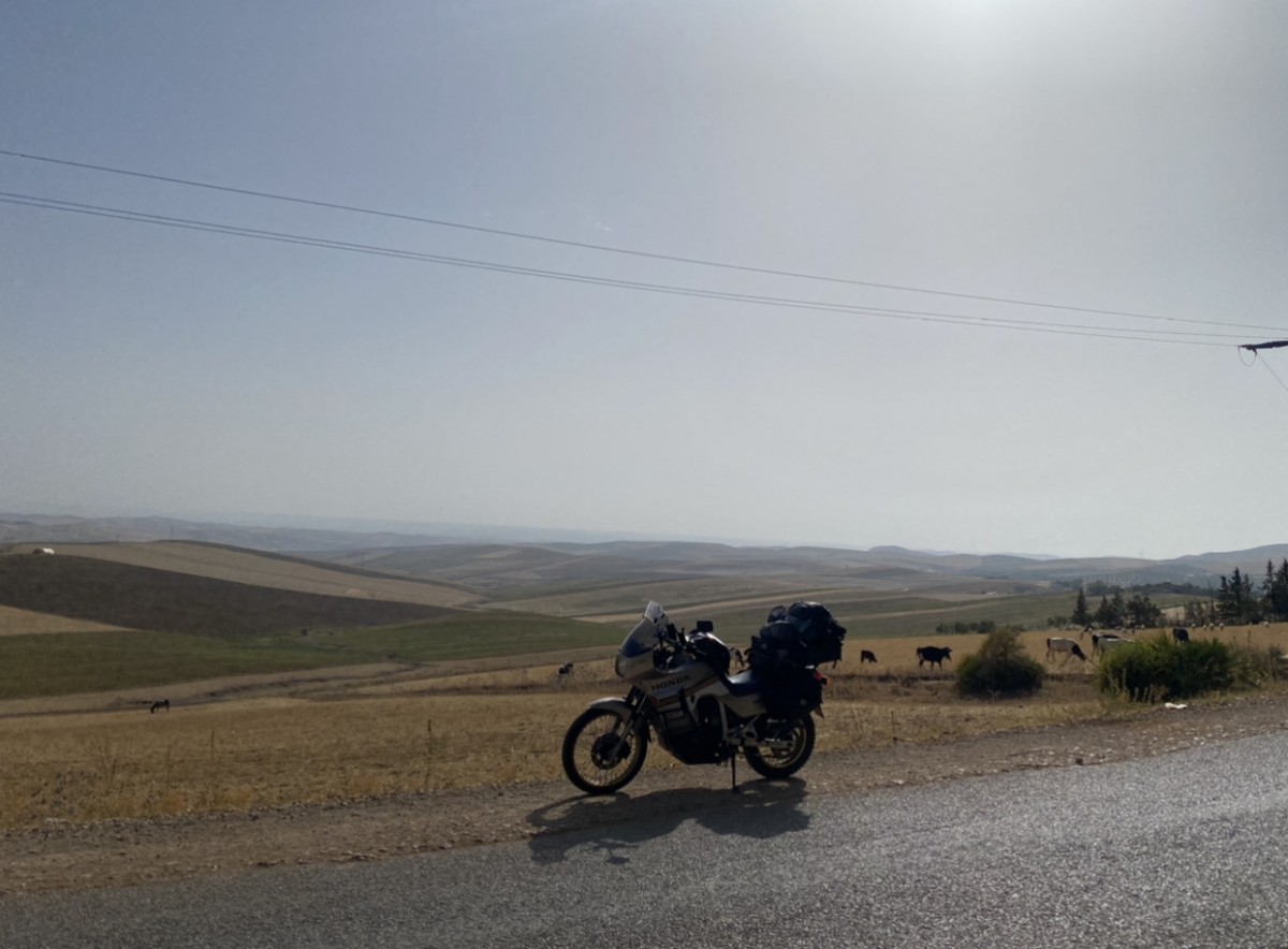 9773ABDA-E64D-4D79-B7B4-9E6407F31E17.jpeg