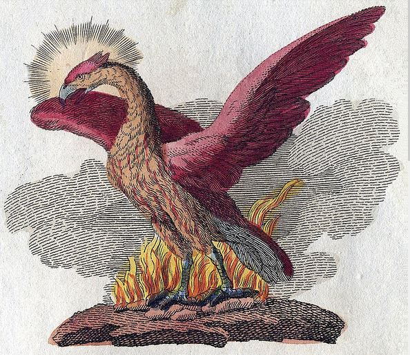 phoenix.JPG
